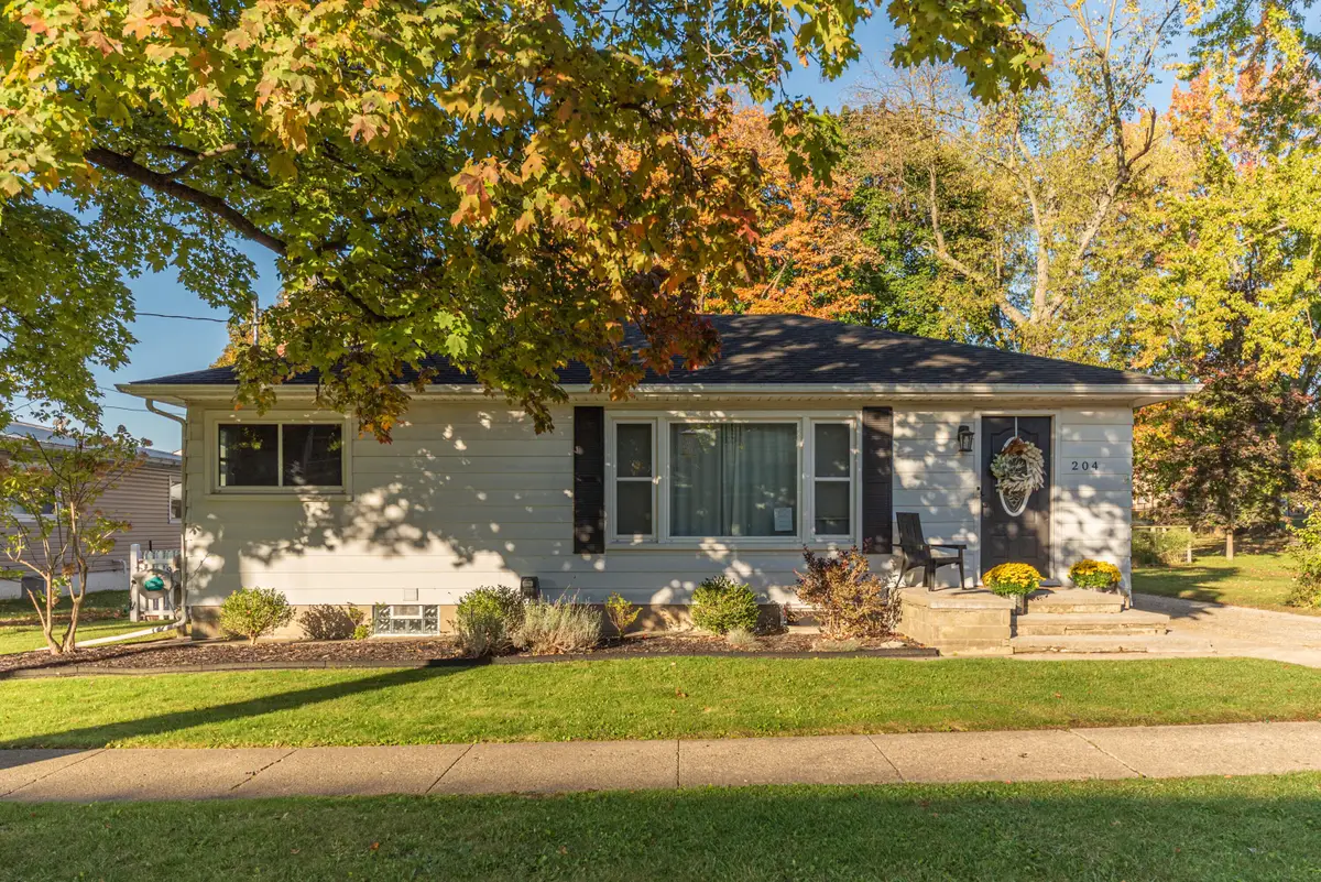 204 Torrey Street, Manchester, MI 48158 - #1