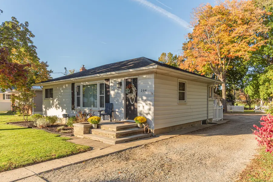 204 Torrey Street, Manchester, MI 48158 - #2