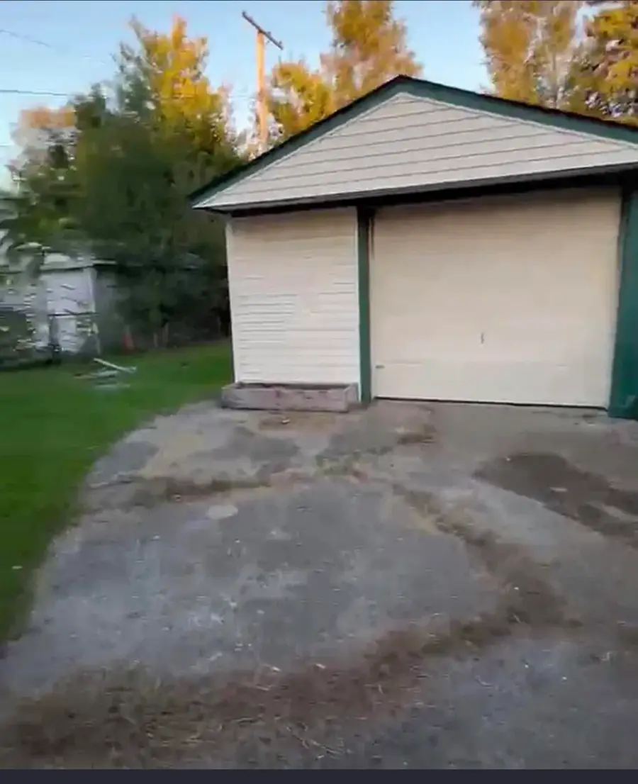 17202 Fleming Street, Hamtramck, MI 48212 - #3
