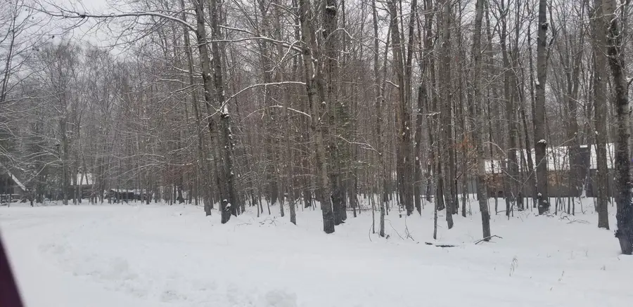 323 Dogwood Court, Gaylord, MI 49735 - #2