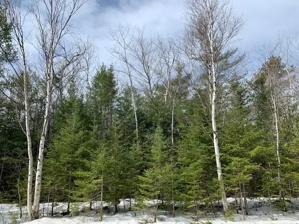 Lot 118 Timberway Drive, Presque Isle, MI 49777