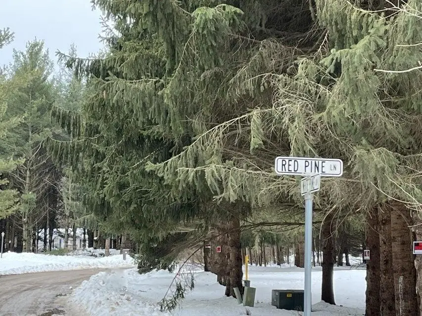 Lot 18 White Pine Lane, Croswell, MI 48422 - #1