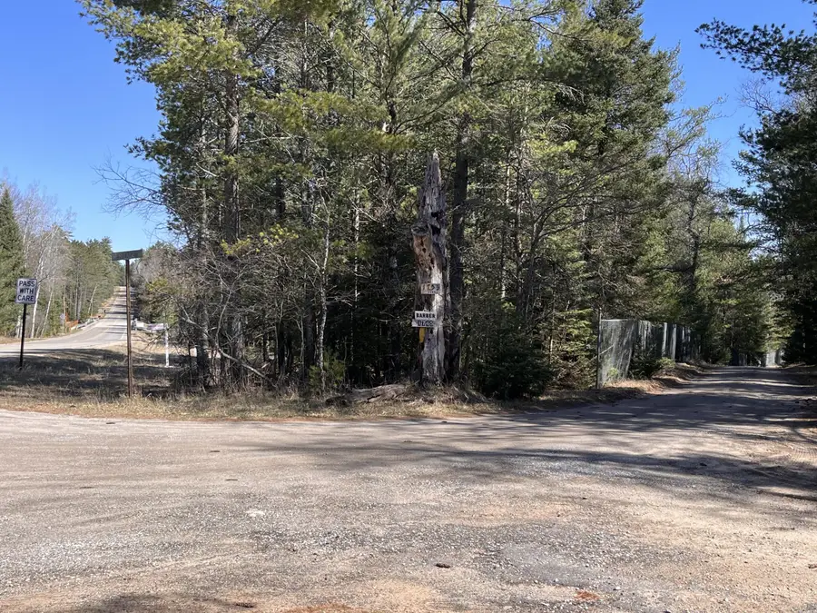 Wakeley Bridge Road, Grayling, MI 49738 - Image #2