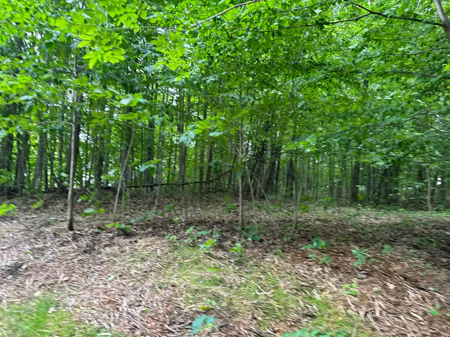 #3
