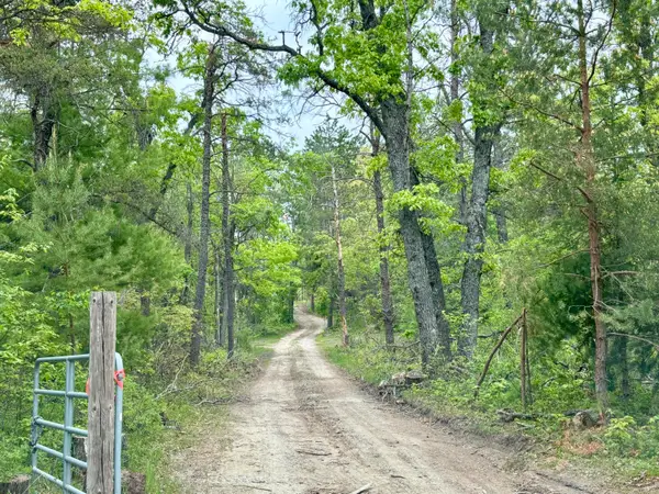 Parcel #B North Townline Road, Lewiston, MI 49756