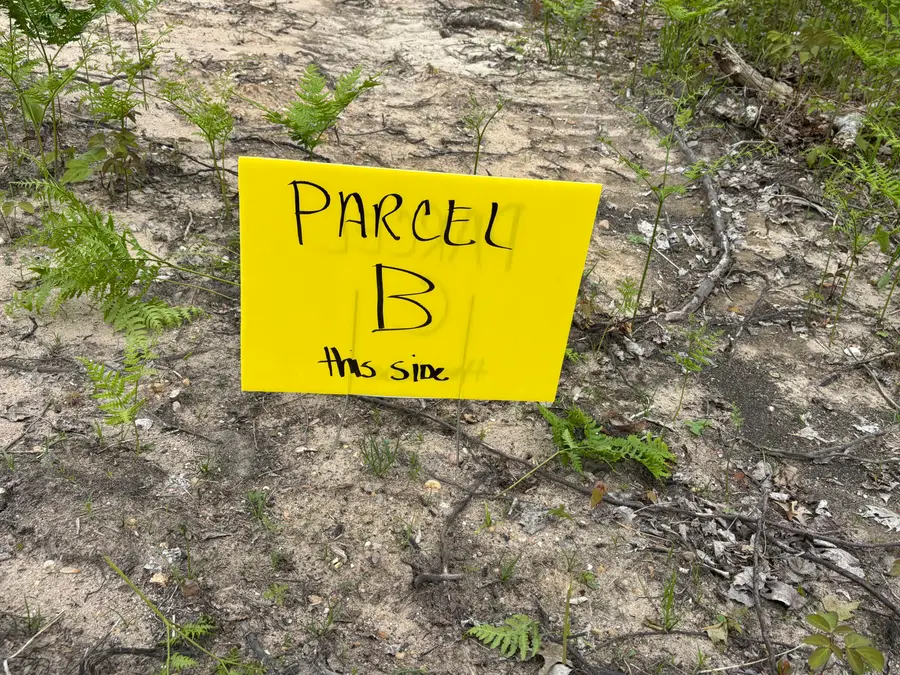 Parcel #B North Townline Road, Lewiston, MI 49756 - Image #3