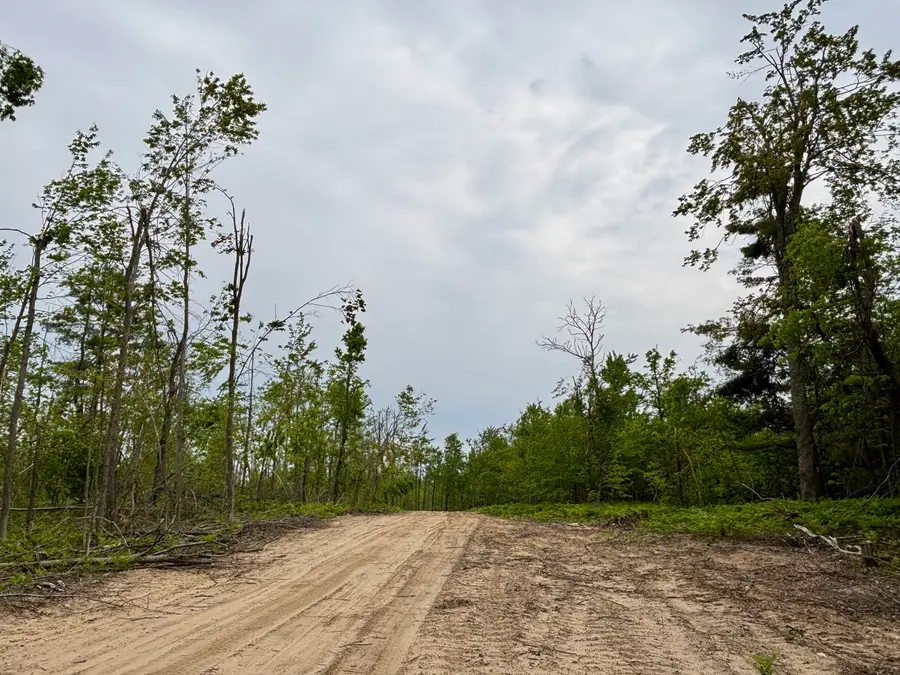 Parcel #H North Townline Road, Lewiston, MI 49756 - Image #3