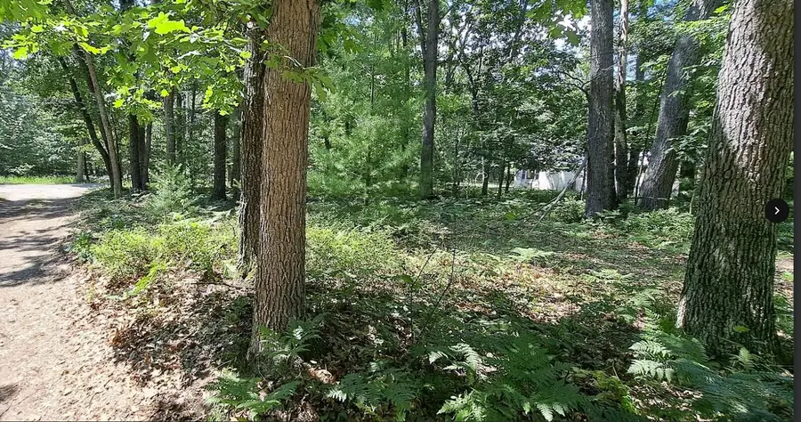 #3