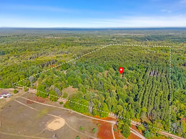 1464 N Raymond Road, Luther, MI 49656