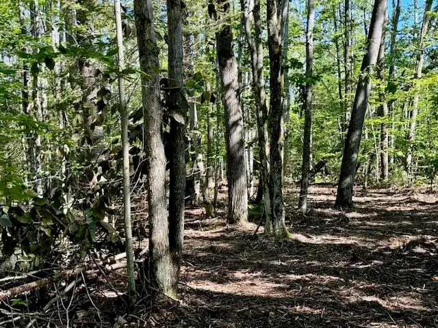 #3