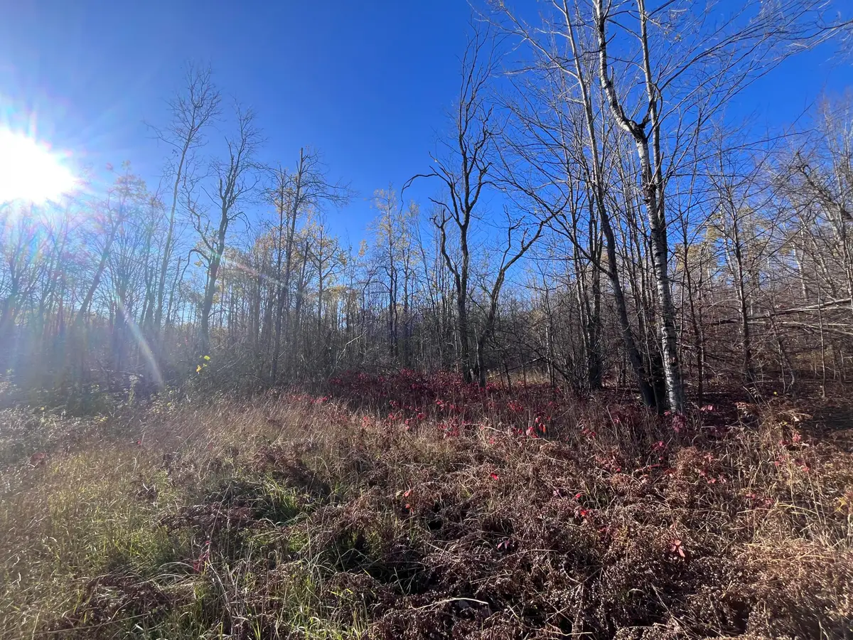 34 Misty Court, Mancelona, MI 49659 - Image #1