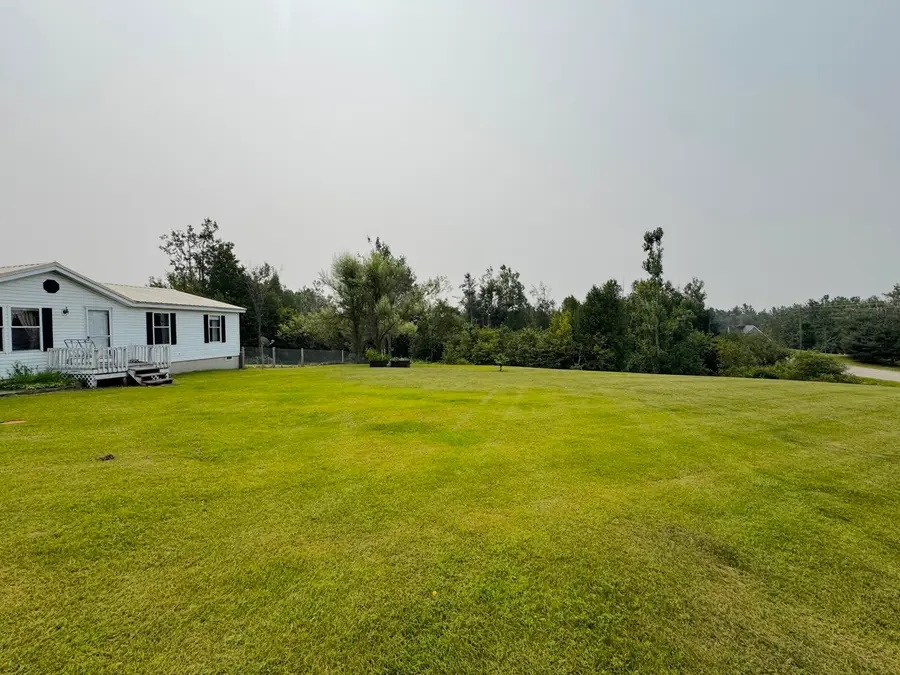 14201 Molineaux Road, Wolverine, MI 49799 - Image #3
