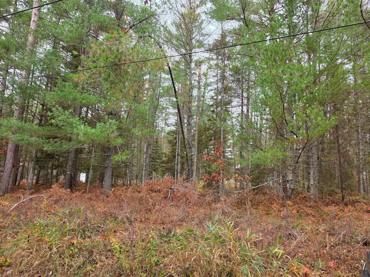 V/L 6 Lots Battalion Boulevard, Grayling, MI 49738 - Image #1