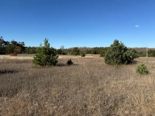 V/L Unit15 Peregrine Drive, Elmira, MI 49730