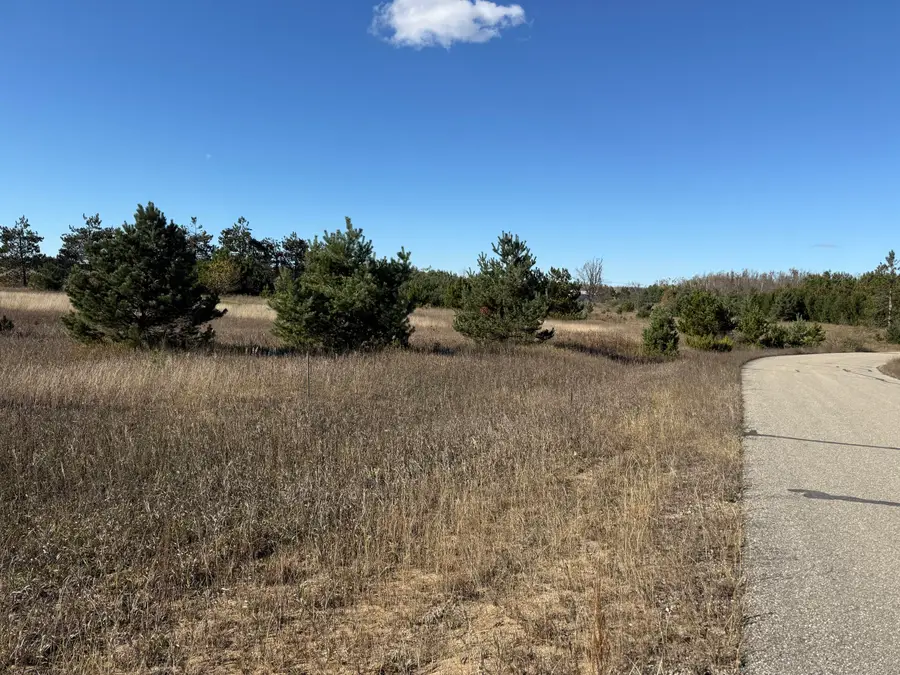 V/L Unit15 Peregrine Drive, Elmira, MI 49730 - Image #3