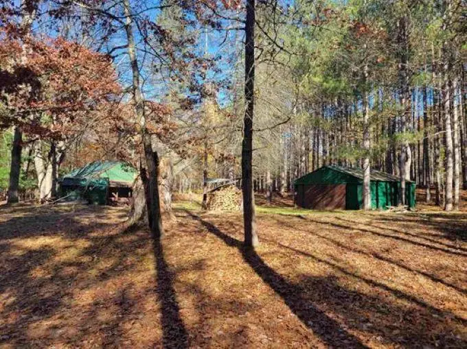 3385 Jones Road, Beaverton, MI 48612 - Image #1