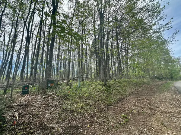 V/L Lot 16 Deer Woods Drive, Gaylord, MI 49735