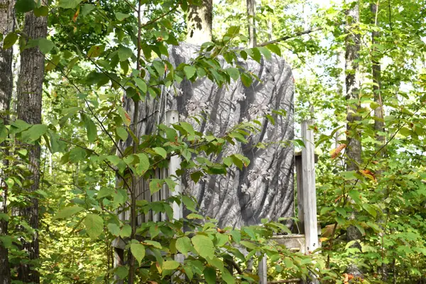 V/L 13AC Brudy Road, Wolverine, MI 49799