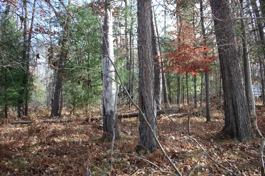 V/L L41-44 Little Mack Drive, Mio, MI 48647 - Image #2