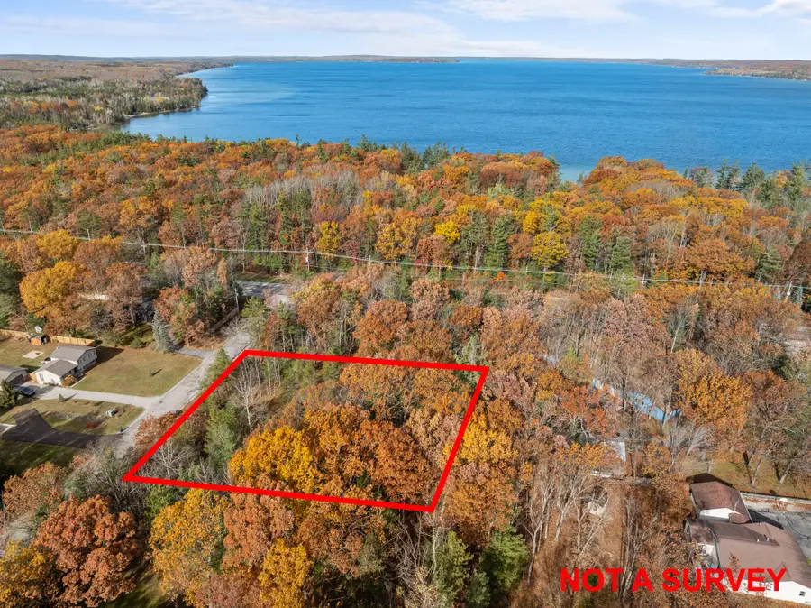 4565 Forest Trail, Indian River, MI 49749 - Image #2