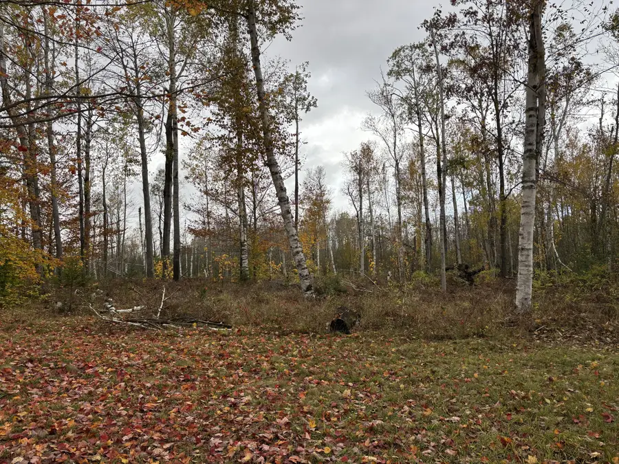 3753 Birchwood Trail, Rogers City, MI 49779 - Image #3