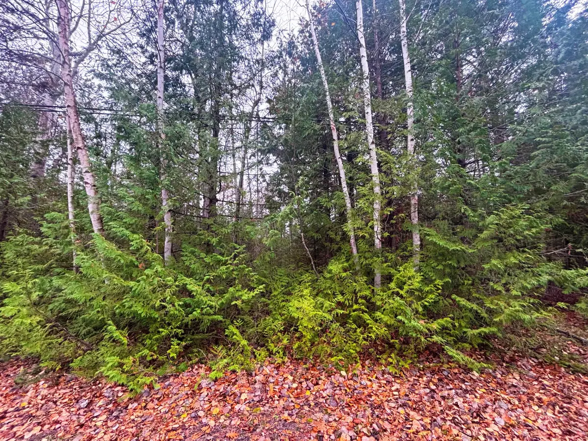 Lot 14 E Grand Lake Road, Presque Isle, MI 49777 - Image #1