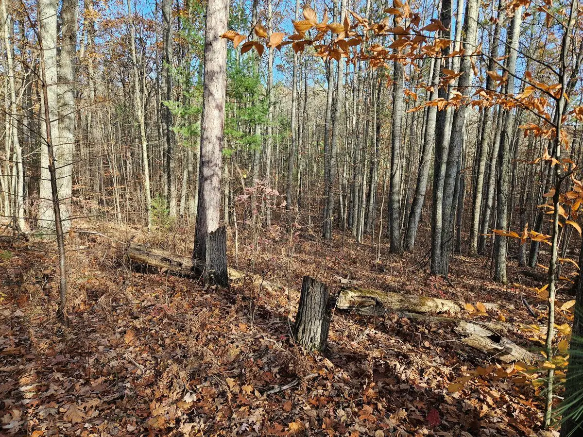 82 E Skyline Drive, Roscommon, MI 48653 - Image #1