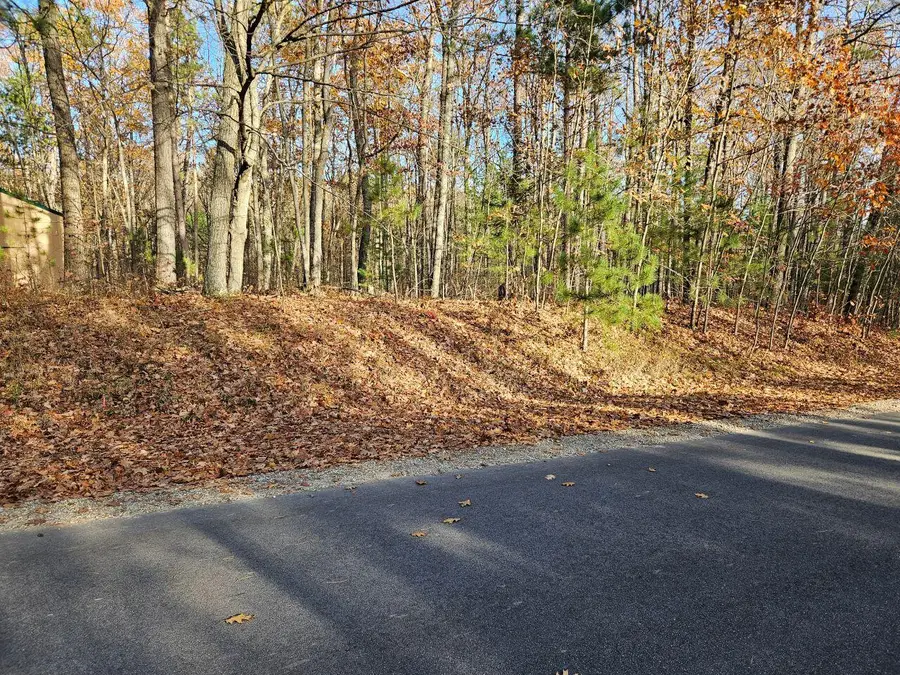 82 E Skyline Drive, Roscommon, MI 48653 - Image #3