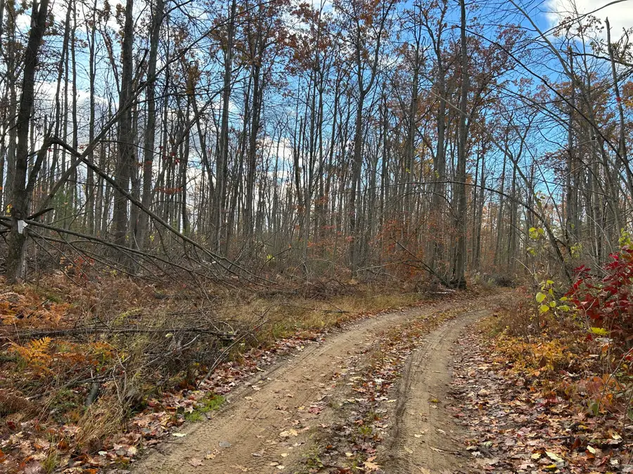 Alpena Street, Gaylord, MI 49735 - Image #3