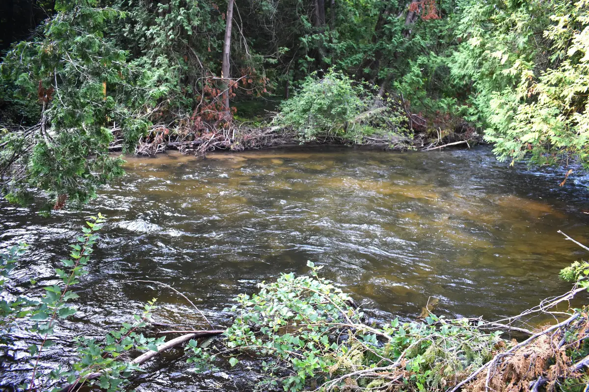 Parcel A 8993 S. Straits Highway, Wolverine, MI 49799 - Image #1