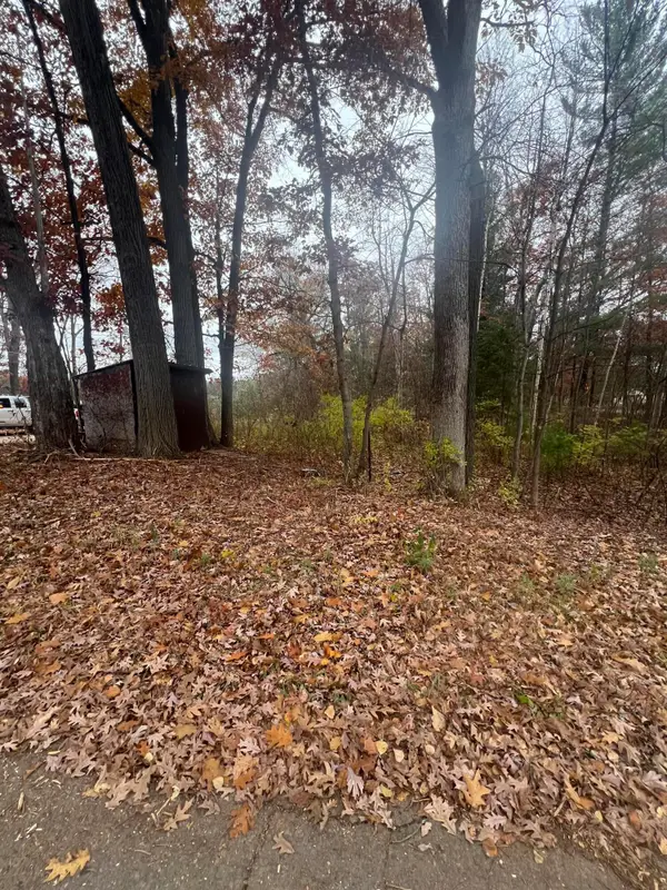 V/L 0.25A Main Street, Wellston, MI 49689