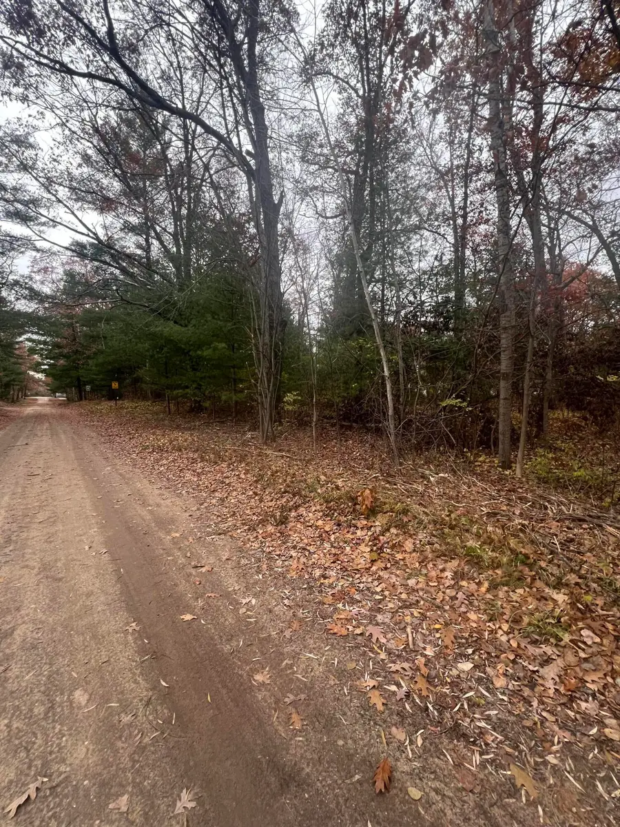 V/L 0.25A Main Street, Wellston, MI 49689 - Image #2