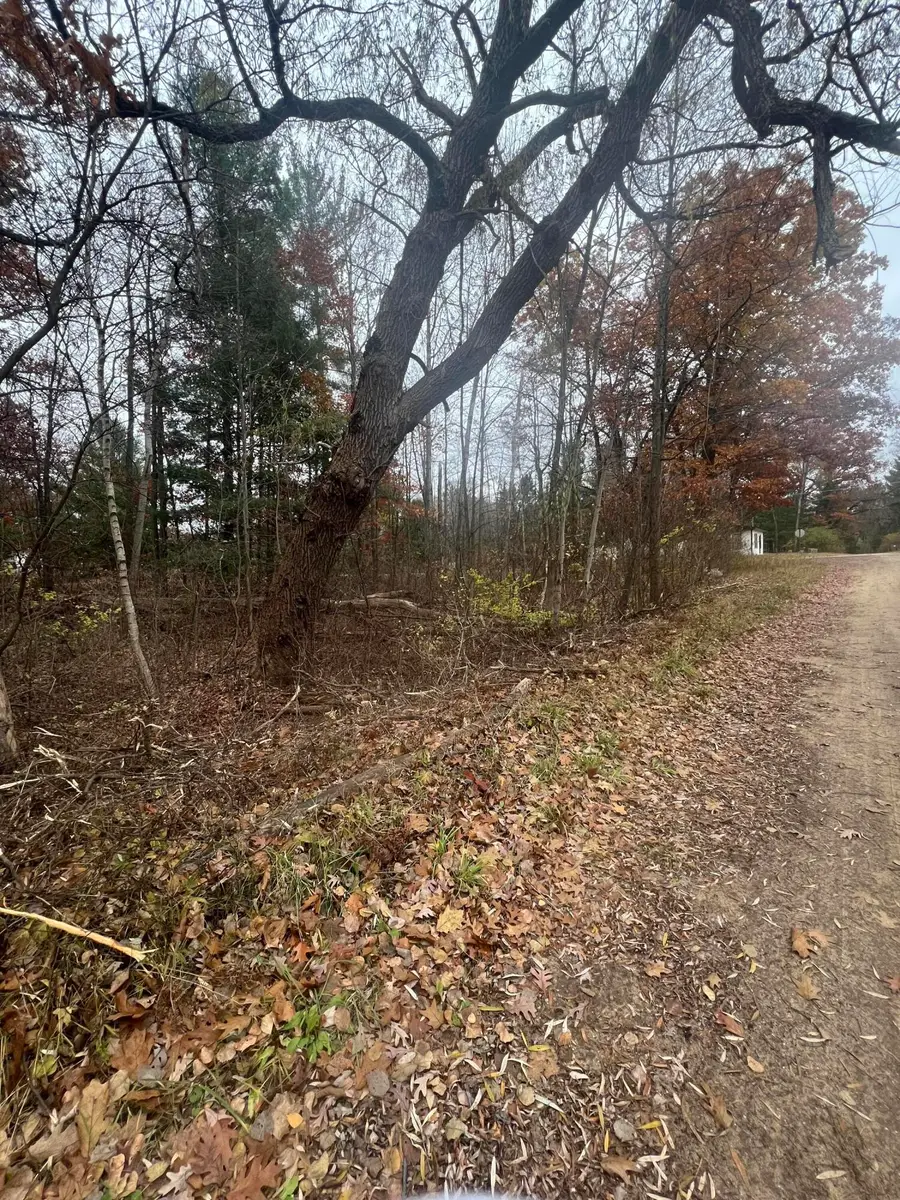 V/L 0.25A Main Street, Wellston, MI 49689 - Image #3