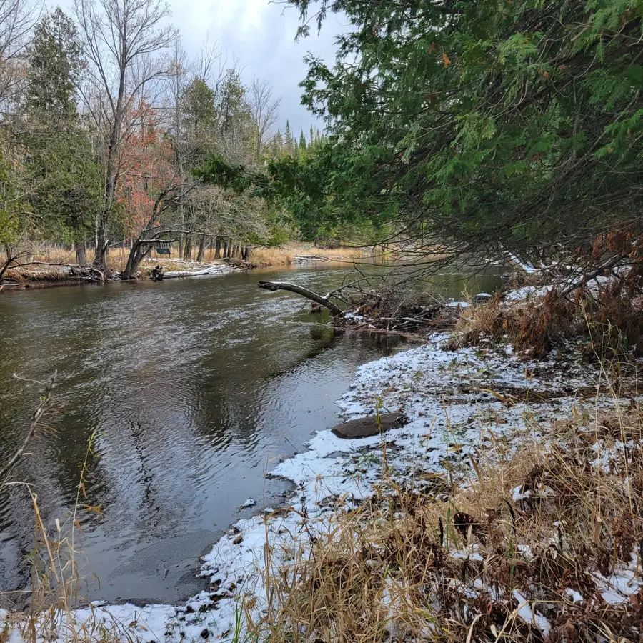 8435 Wolf Creek Road, Herron, MI 49744 - Image #2