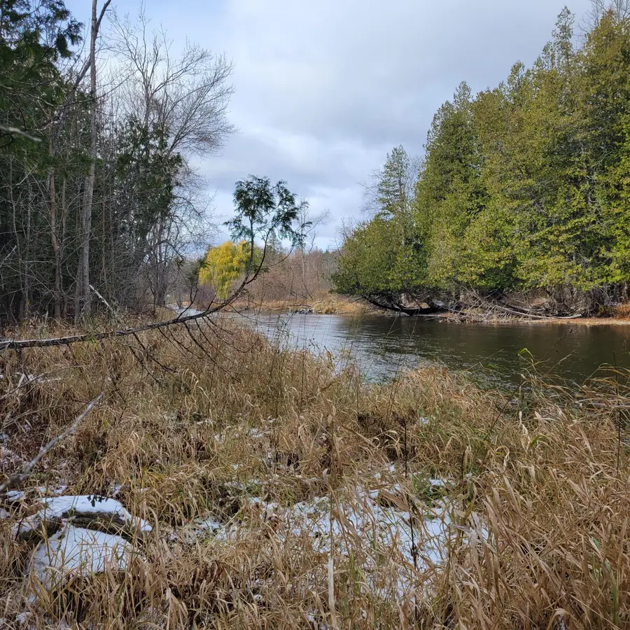 8435 Wolf Creek Road, Herron, MI 49744 - Image #3