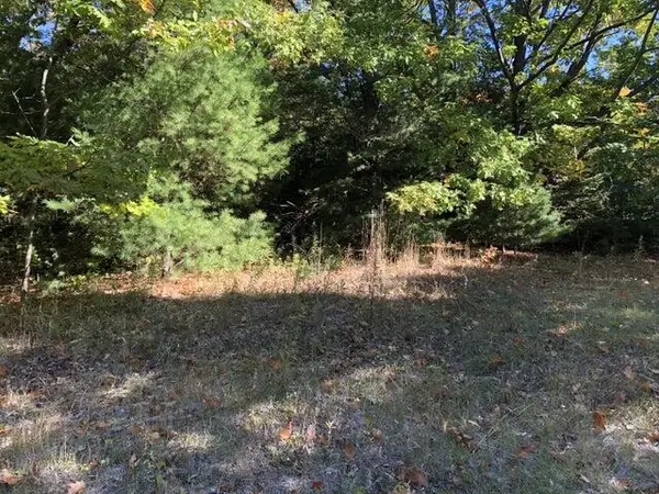 Lots 2 & 3 W Etherington Street, Mackinaw City, MI 49701