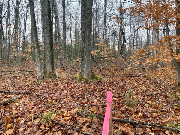 7535 Finnegan Road, Johannesburg, MI 49751