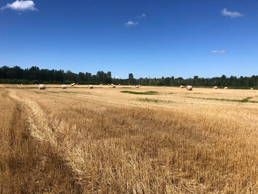 V/L 40AC Long Rapids Road, Lachine, MI 49753 - Image #3