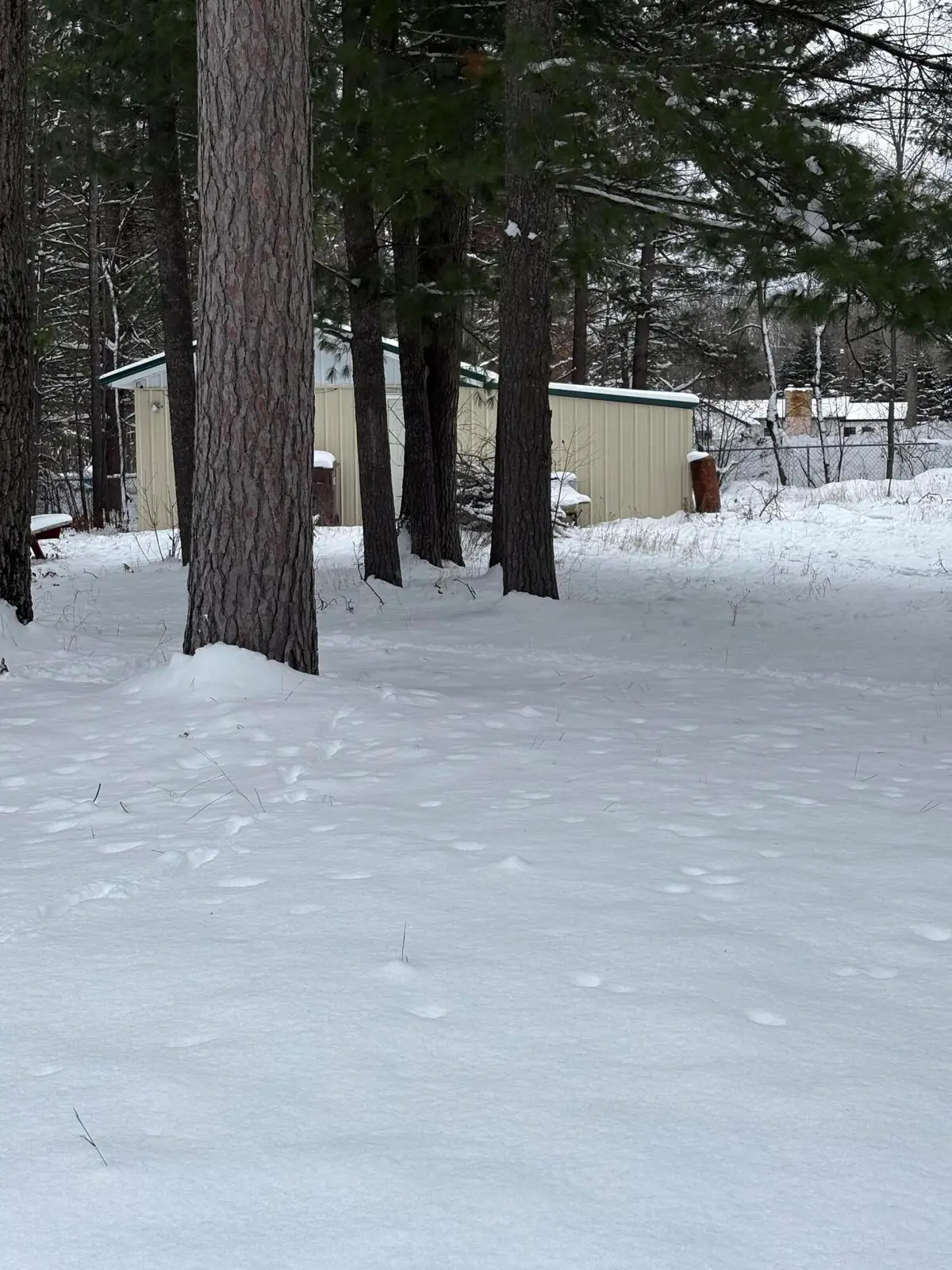 2472 Fawn Court, Saint Helen, MI 48656 - Image #1