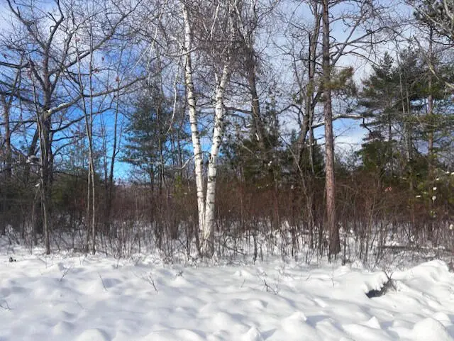 Lot 43 Ponderosa Circle, Presque Isle, MI 49777 - Image #1