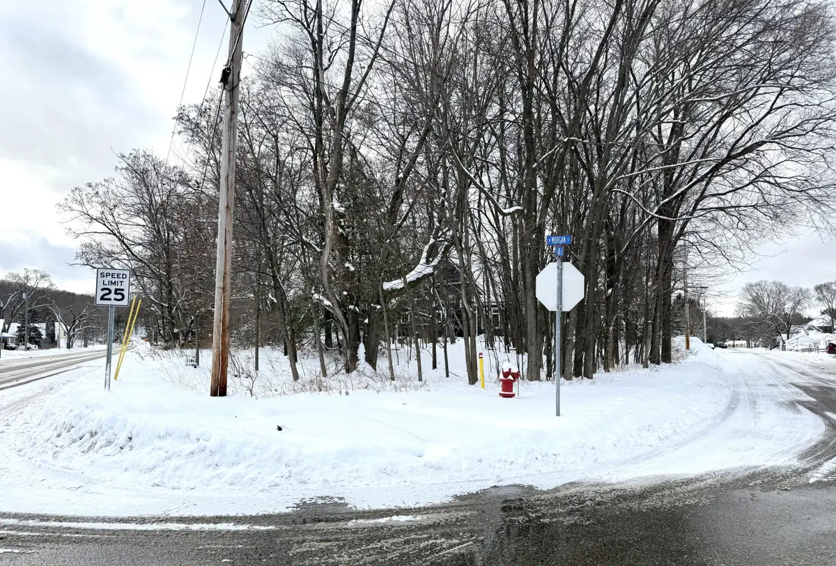 109 W Morgan Street, Boyne City, MI 49712 - Image #1