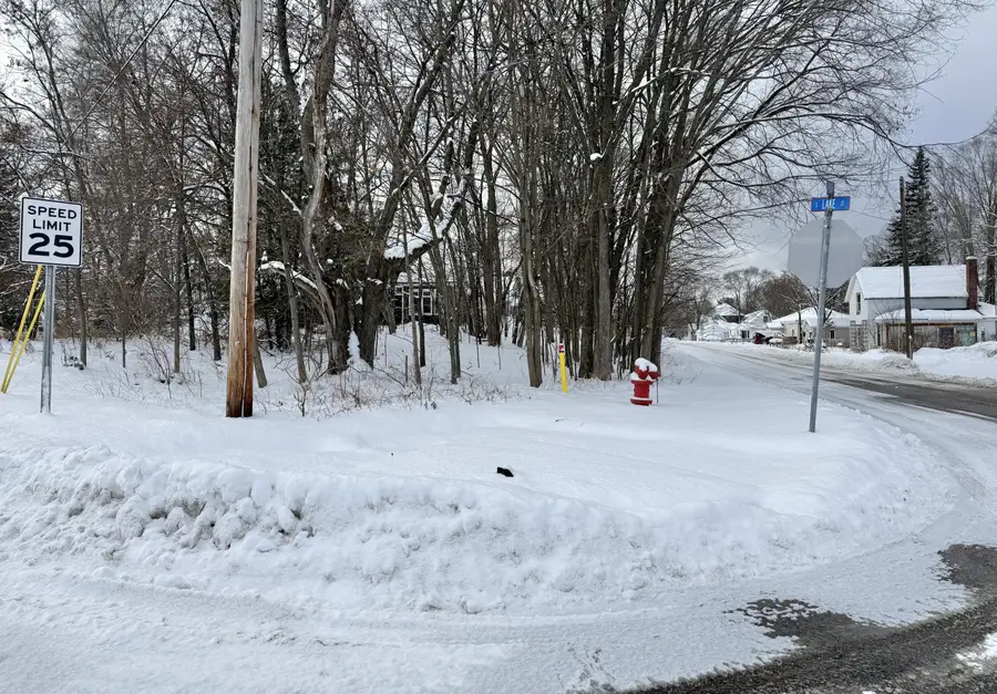 109 W Morgan Street, Boyne City, MI 49712 - Image #3