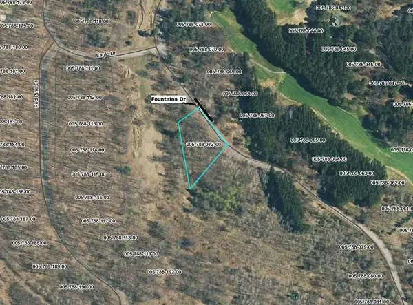 539 Fountains Drive, Lewiston, MI 49756