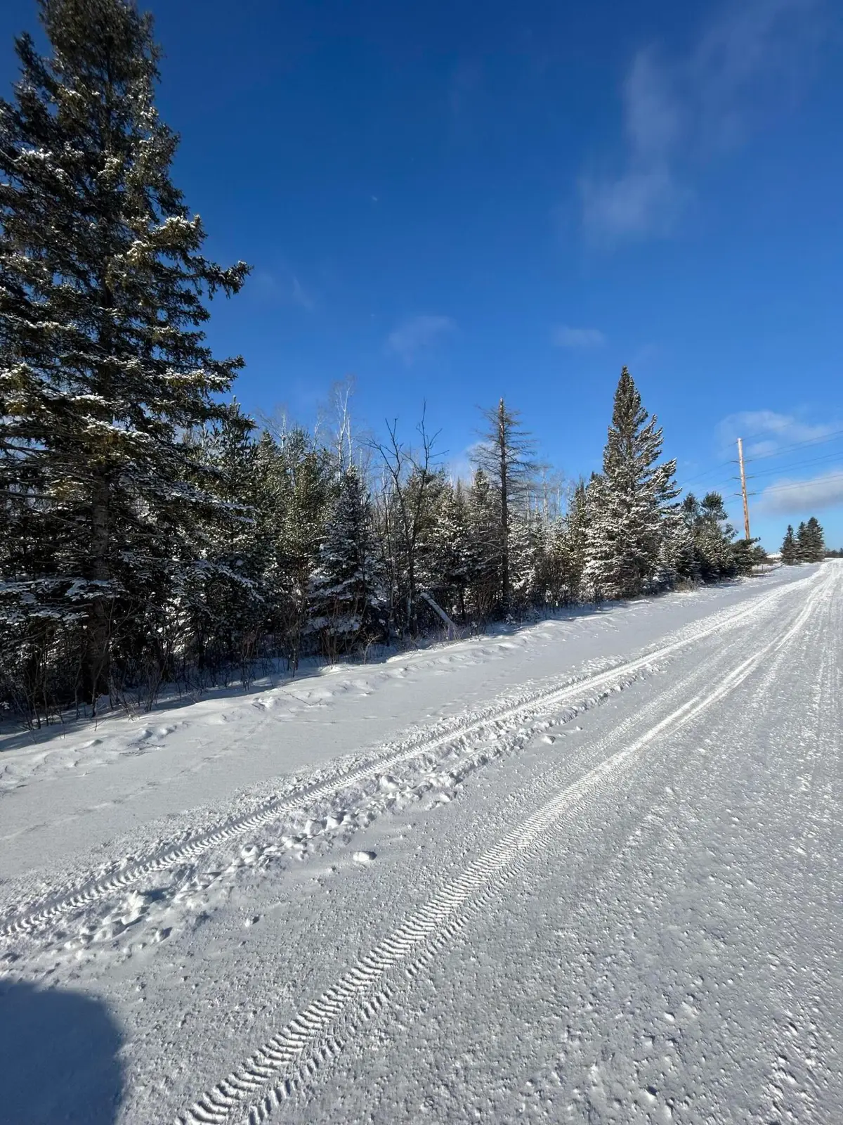 V/L 33.60A S County Line Road, Onaway, MI 49765 - Image #1