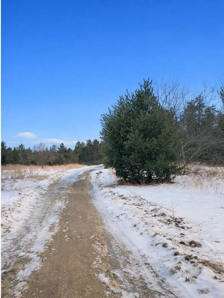 V/L 3.43AC Sturgis Road, Atlanta, MI 49709 - Image #2