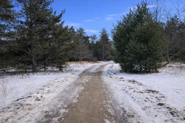 Parcel 4 Sturgis Road, Atlanta, MI 49709