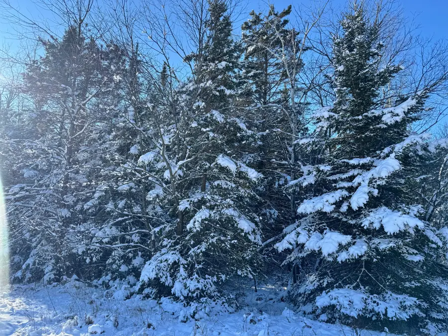 V/L 40AC Taylor Hawks Road, Alpena, MI 49707 - Image #3