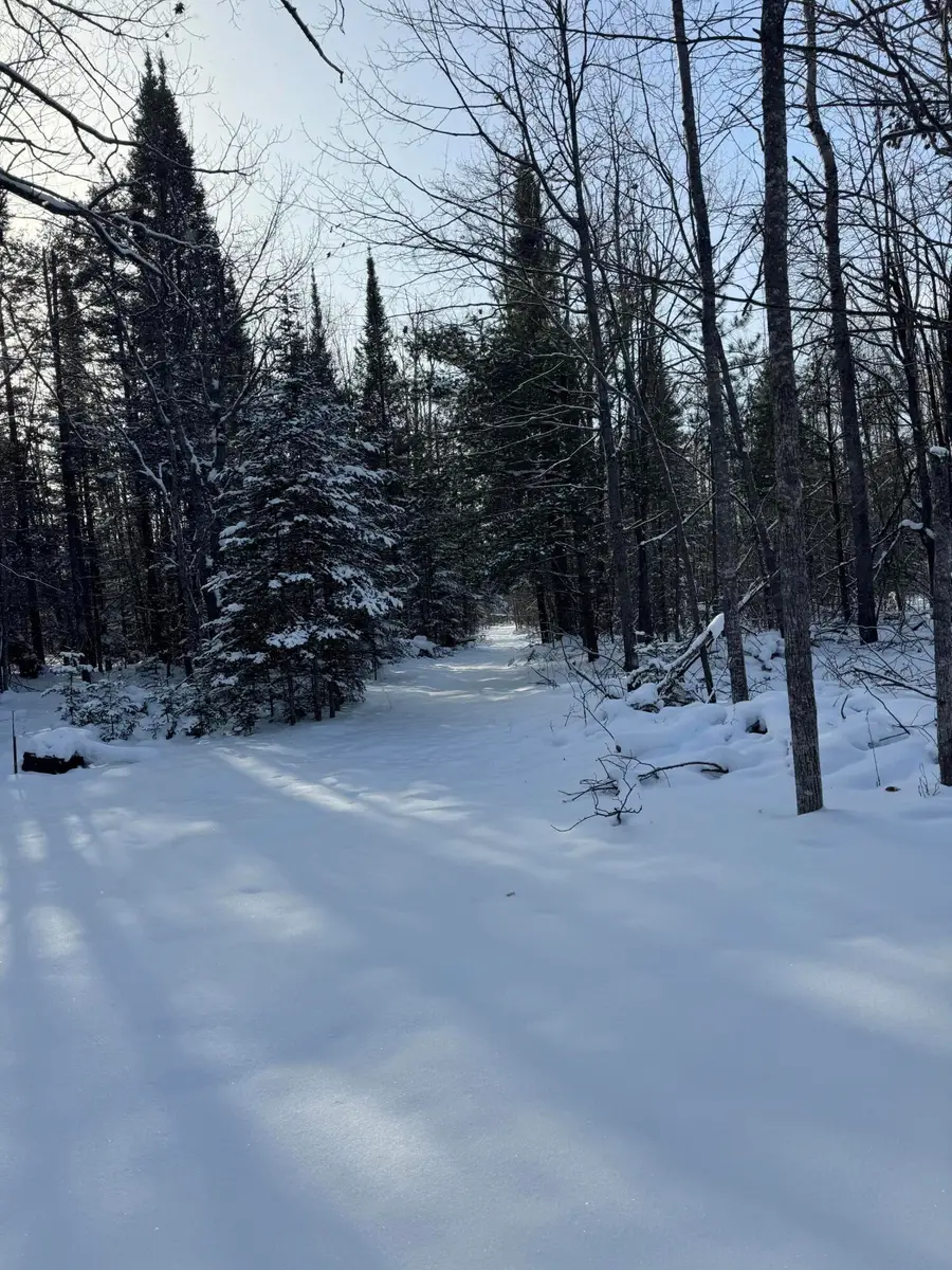 10741 Big Cut Highway, Millersburg, MI 49759 - Image #3