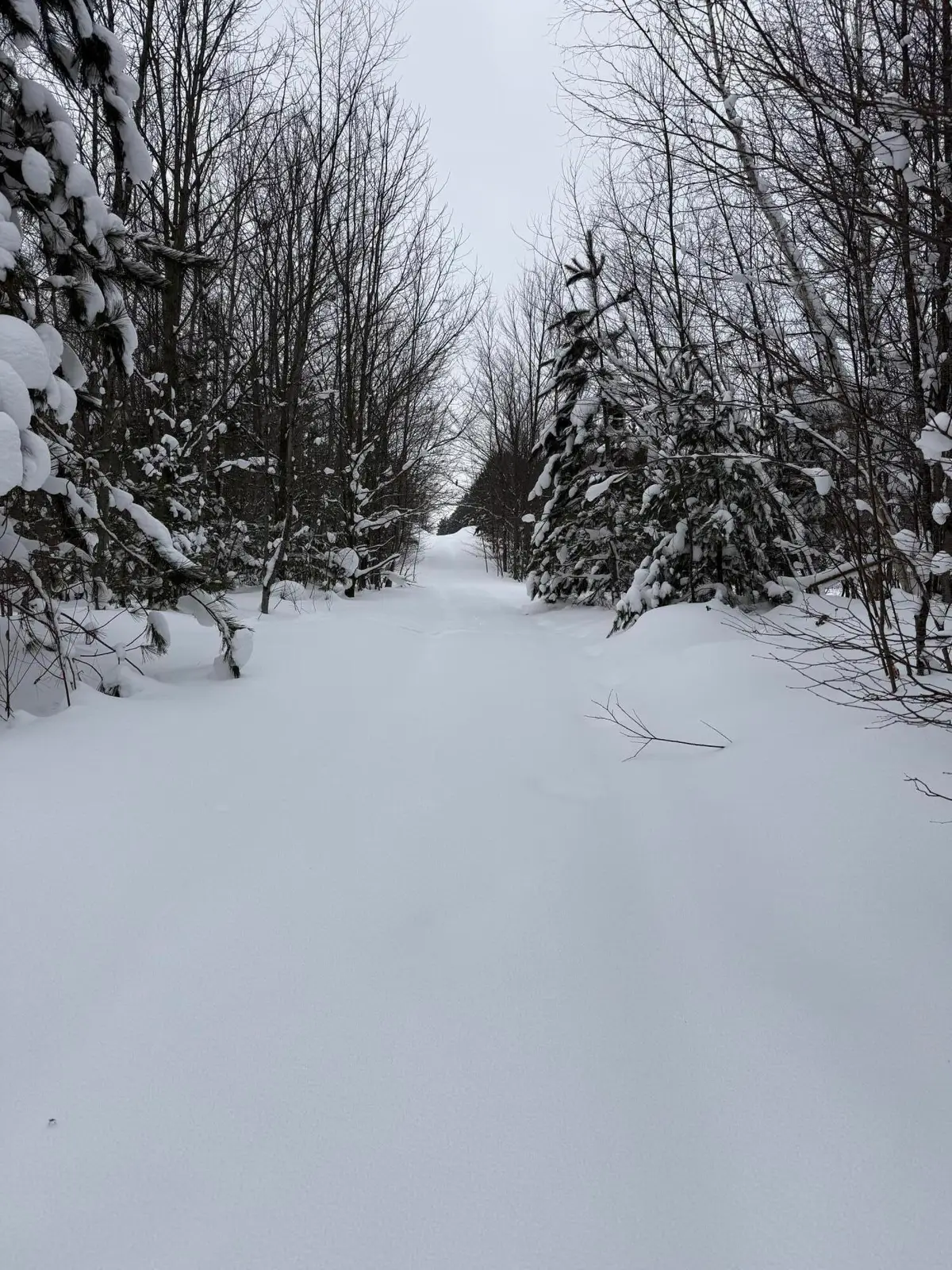 V/L 5 AC Little Lane Ne, Kalkaska, MI 49646 - Image #1