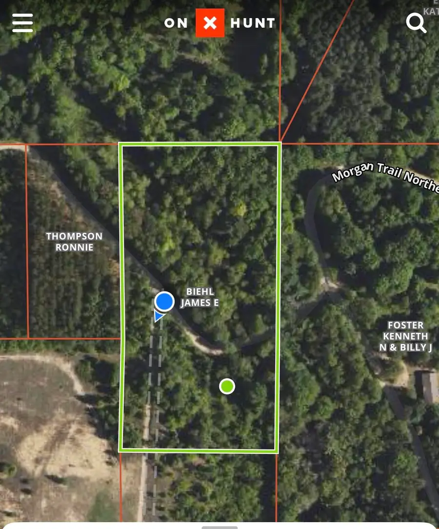 V/L 5 AC Little Lane Ne, Kalkaska, MI 49646 - Image #2